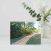 黄色レンガ道3はがき ポストカード (スタンド正面)