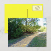 黄色レンガ道3はがき ポストカード (正面/裏面)