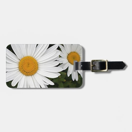 黄色及び白いデイジー: 開花の花 ラゲッジタグ (正面横)