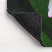 黄色及び白いハワイのプルメリアの花のマウスパッド マウスパッド (コーナー)