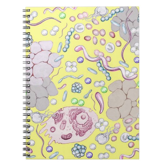 黄色微生物学 ノートブック (正面)