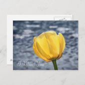 黄色恋しく思いチューリップの花と水を持っている ポストカード (正面/裏面)