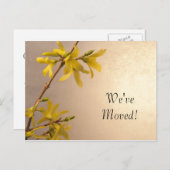 黄色春フォルシンシアの住所変更 案内ポストカード (正面/裏面)