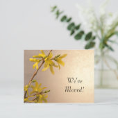 黄色春フォルシンシアの住所変更 案内ポストカード (スタンド正面)