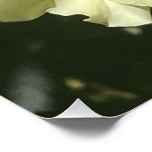 黄色植物花 ポスター (コーナー)