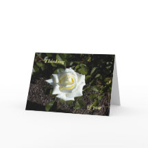 黄色淡い色のの考えバラ：君の