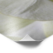 黄色淡い色ののPhalaenopsis蘭フローラ フォトプリント (角)