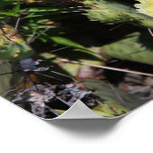 黄色淡い色のサボテン ポスター (角)