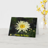 黄色淡い色のデイジー、ハッピーバースデー カード (黄色い花)