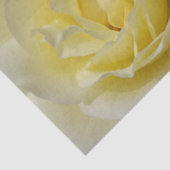 黄色淡い色のバラティッシュペーパー 薄葉紙 (詳細)