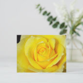 黄色独身のバラプリントはがき ポストカード (スタンド正面)
