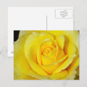 黄色独身のバラプリントはがき ポストカード (正面/裏面)