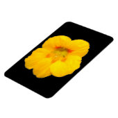 黄色白熱［赤熱］光を放つNasturtium Premiumマグネット マグネット (左側)