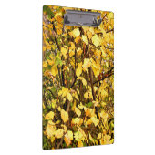 黄色紅葉 クリップボード (右)