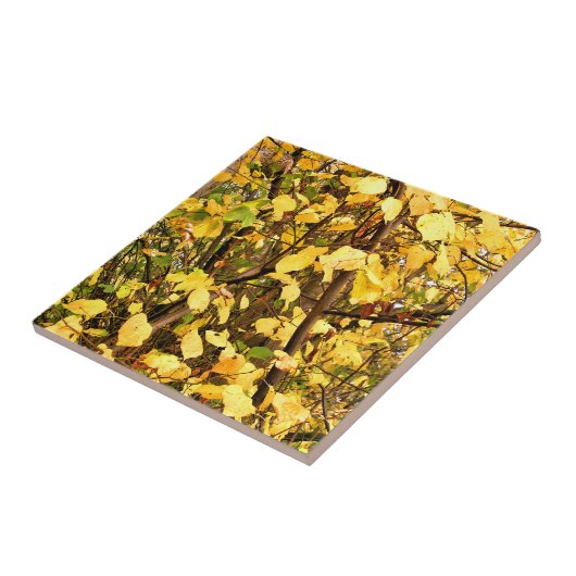 黄色紅葉 タイル (側面)