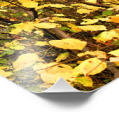 黄色紅葉 フォトプリント            (角)