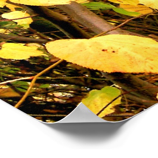 黄色紅葉 ポスター (角)