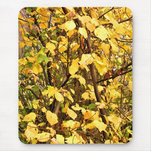 黄色紅葉 マウスパッド (正面)
