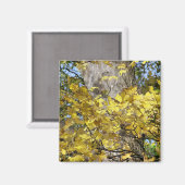 黄色紅葉 マグネット (正面/裏面)