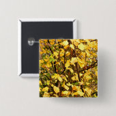 黄色紅葉 缶バッジ (正面&裏面)