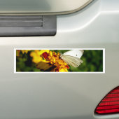 黄色素晴らしと赤の花の上の白い蝶 バンパーステッカー (車上)