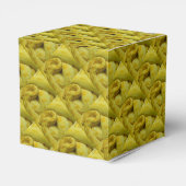 黄色素晴らしビルマのPython フェイバーボックス (裏面サイド)