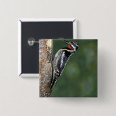 黄色膨らまされたSapsucker (男性) 缶バッジ (正面&裏面)