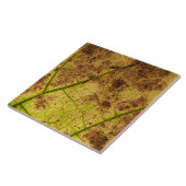 黄色自然と茶色の葉マクロイメージ タイル (側面)