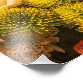 黄色花 フォトプリント            (角)