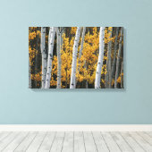 黄色葉の木と白い木の幹 キャンバスプリント (インサイチュ (ウッドフロア))