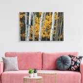 黄色葉の木と白い木の幹 キャンバスプリント (インサイチュ (リビング))