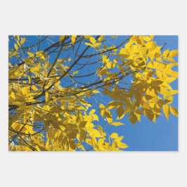 黄色葉秋アッシュツリー自然撮影 ラッピングペーパーシート