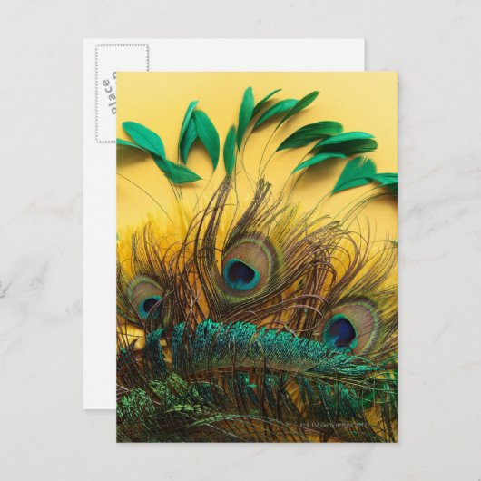 黄色違う色の羽毛の多くの種類 ポストカード (正面/裏面)