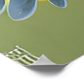 黄色鮮やかの鳥オン分岐 ポスター (角)