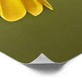 黄色鮮やかの鳥オン分岐 ポスター (角)