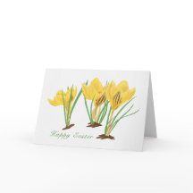 黄色鮮やかクロッカスフラワーハッピーイースター