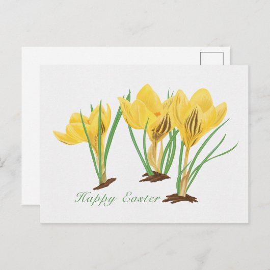 黄色鮮やかクロッカスフラワーハッピーイースター シーズンポストカード (正面/裏面)