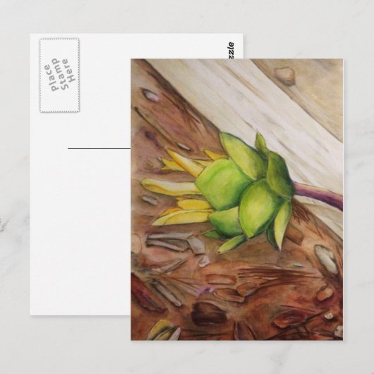 "黄色1" ポストカード (正面/裏面)