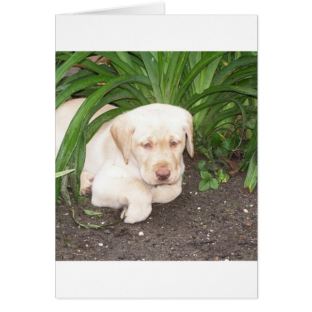 黄色3研究所の設置 (正面)