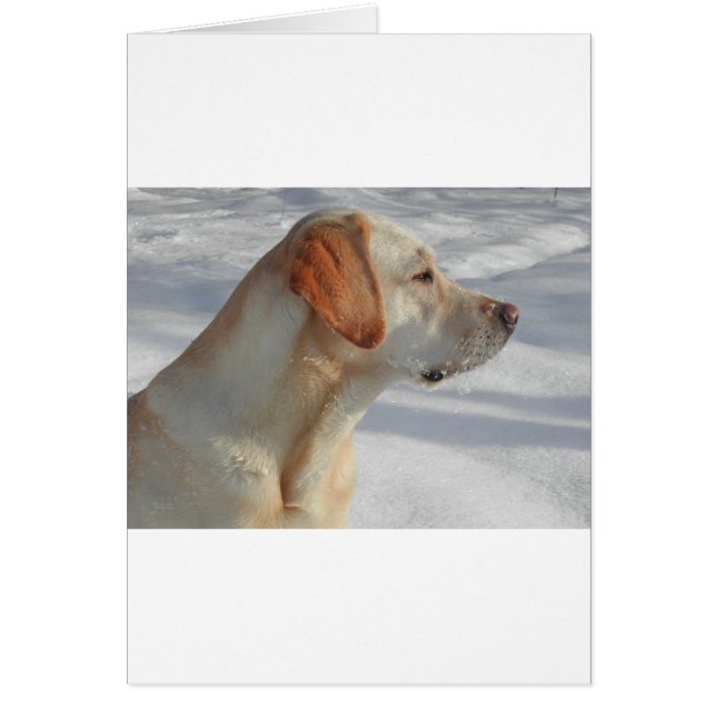 黄色4実験室 (正面)