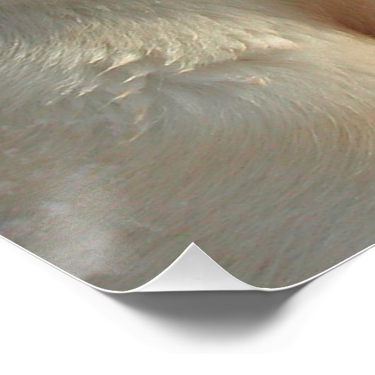 黄色4実験室 ポスター (コーナー)