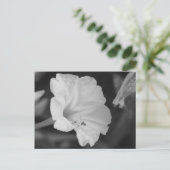 黄色4時 ポストカード (スタンド正面)