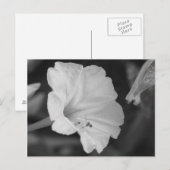 黄色4時 ポストカード (正面/裏面)