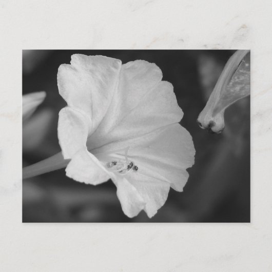 黄色4時 ポストカード (正面)