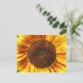 黄色、オレンジ、茶色のひまわり葉書 ポストカード (スタンド正面)