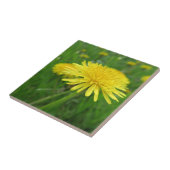 黄色，キンポウゲ，植物，タンポポ，草原 タイル (側面)