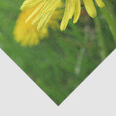 黄色，キンポウゲ，植物，タンポポ，草原 薄葉紙 (詳細)