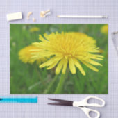 黄色，キンポウゲ，植物，タンポポ，草原 薄葉紙 (クラフト)