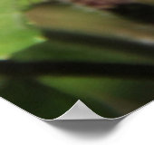 黄色 ポスター (角)