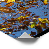 黄色 ポスター (角)